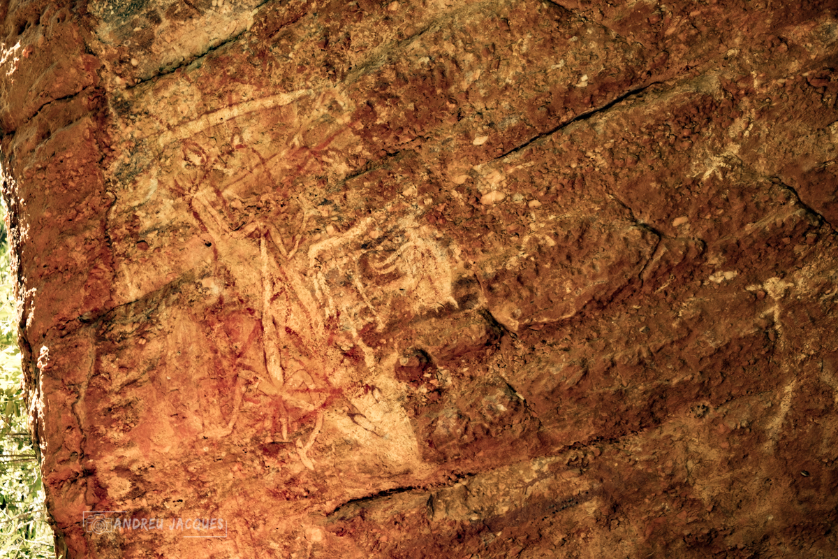 australie 2018-94.jpg